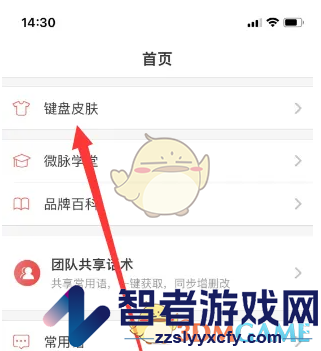 微脉输入法更换键盘皮肤方法