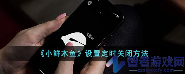 小鲜木鱼设置定时关闭方法