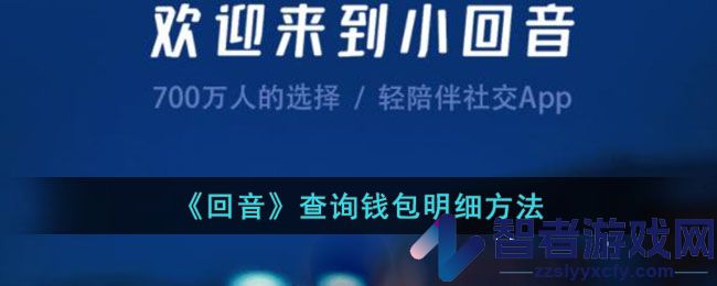 回音查询钱包明细方法