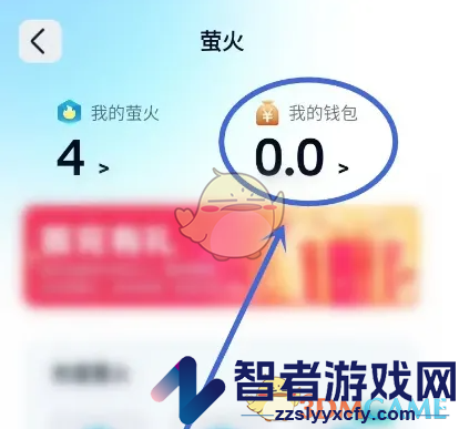 回音查询钱包明细方法