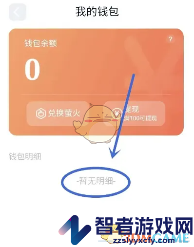回音查询钱包明细方法