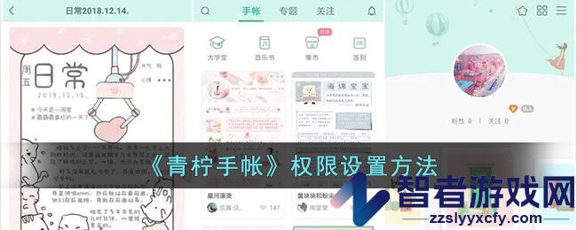 青柠手帐权限设置方法