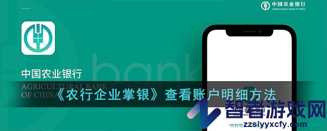 农行企业掌银查看账户明细方法