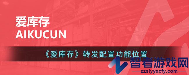 爱库存转发配置功能位置