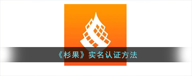 杉果游戏实名认证流程及操作指南