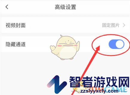 萤石云视频隐藏通道方法