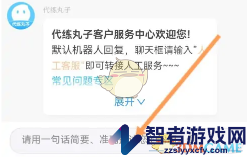 代练丸子在线客服联系方法