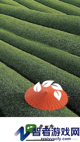 爱西乡app下载