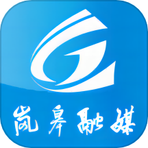 爱岚皋官方版