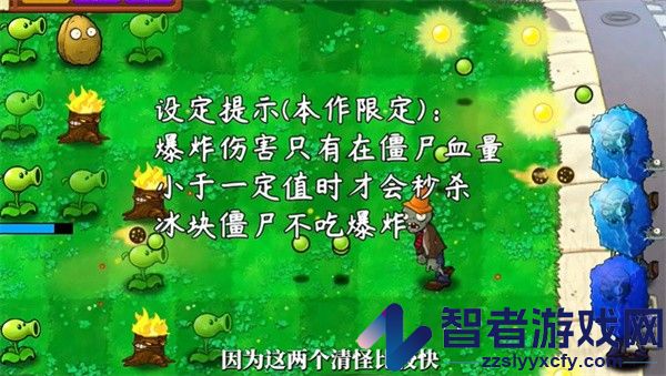 植物大战僵尸技能版游戏