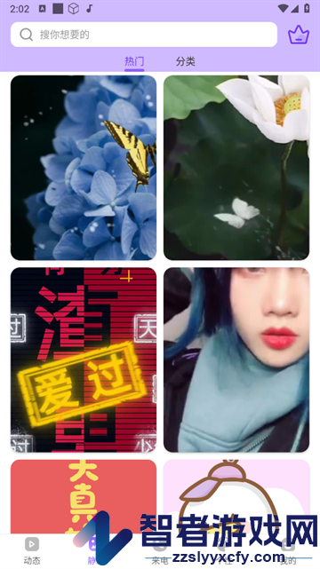 动态壁纸制作桌面软件