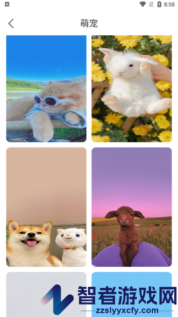 花令壁纸app