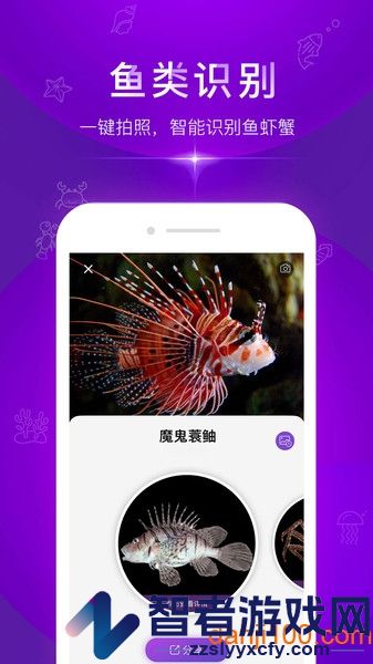 问鱼app下载