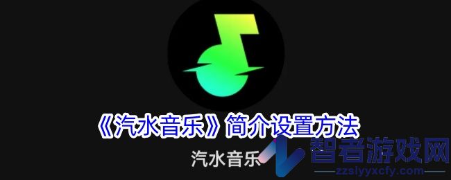 汽水音乐简介设置方法