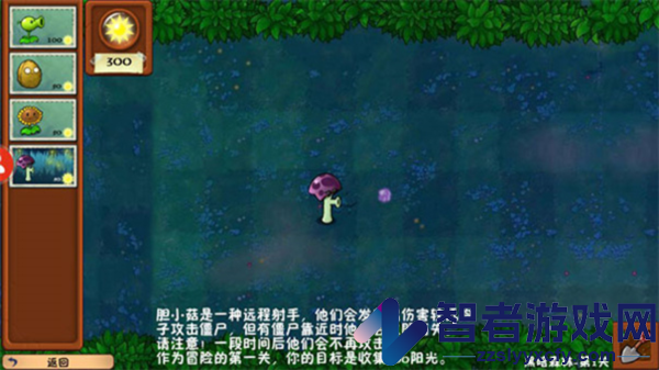 植物大战僵尸时空错乱版
