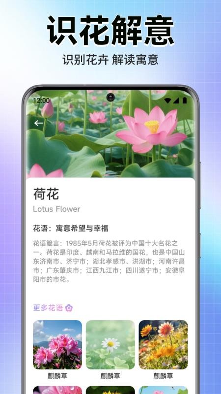 轻漫岛时光最新版