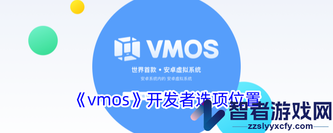 vmos开发者选项位置