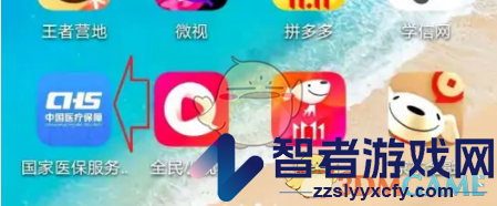 国家医保服务平台密码修改方法