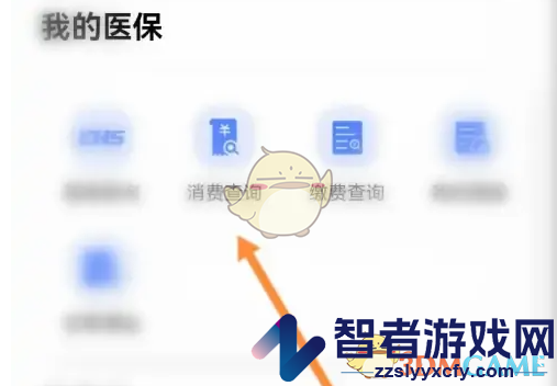 i厦门查看医保消费记录方法