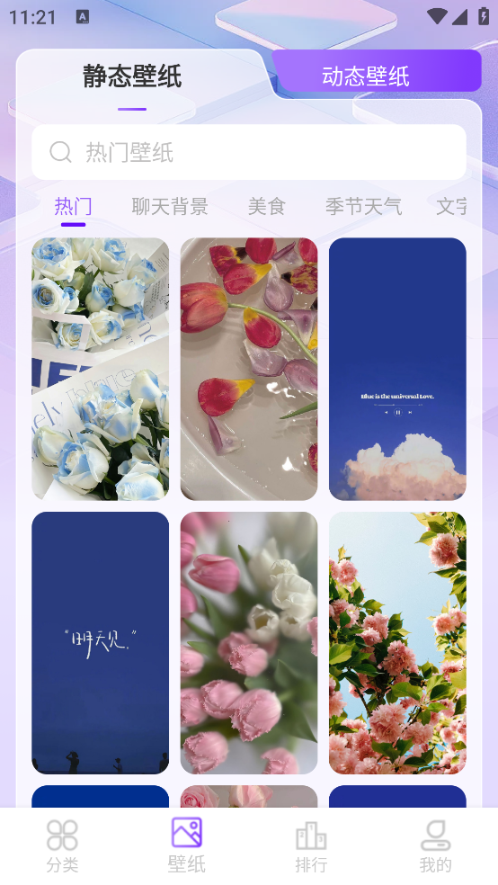 元汽动态壁纸app