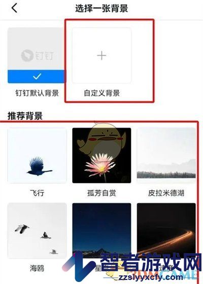 钉钉自定义聊天背景图方法