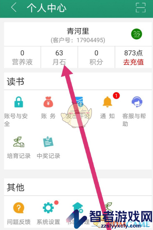 晋江小说阅读查看月石收支记录方法