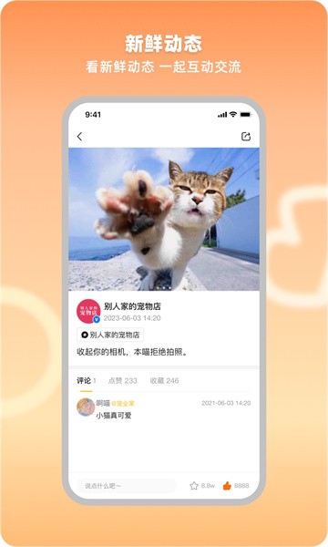 宠业家宠物行业信息平台