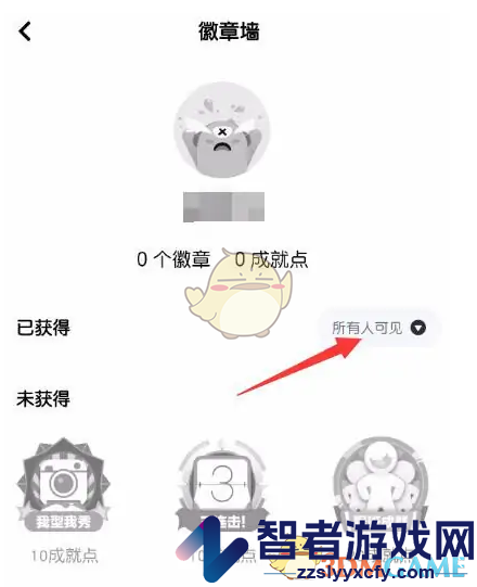 玩吧隐藏徽章方法