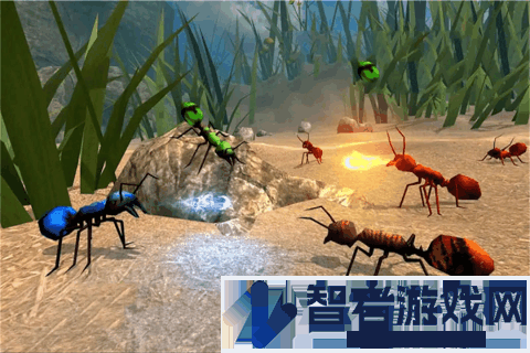 全员加速中之疯狂加速九游版