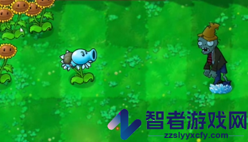 植物大战僵尸启命版1.0下载(PlantsvsZombie_QiMiNGv03)