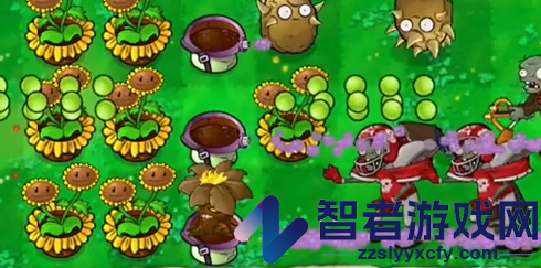 植物大战僵尸启命版1.0下载(PlantsvsZombie_QiMiNGv03)