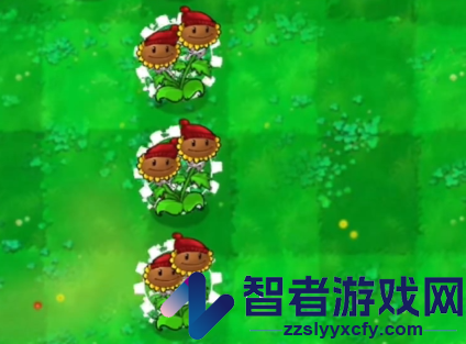植物大战僵尸启命版1.0下载(PlantsvsZombie_QiMiNGv03)