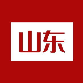 山东ipv6电视版