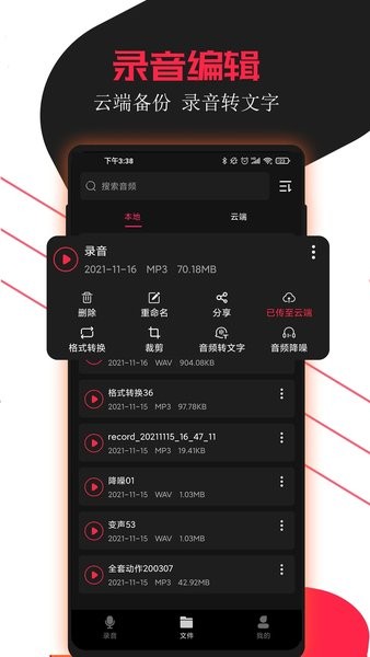 专业录音助手软件