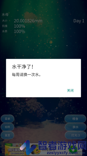 养育水母的治愈游戏安卓版