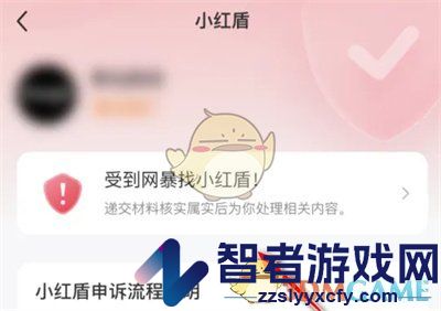 小红书开启小红盾方法