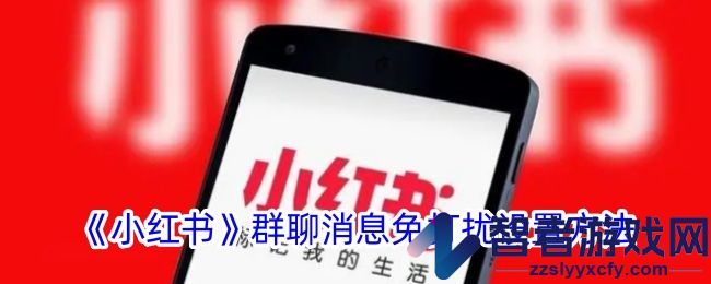 小红书群聊消息免打扰设置方法
