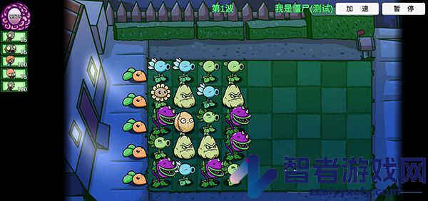 植物大战僵尸高难拓展版(PVZ_BT)