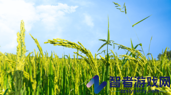 智慧办公中储粮app