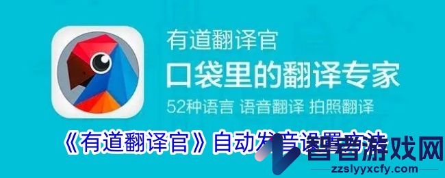 有道翻译官自动发音设置方法