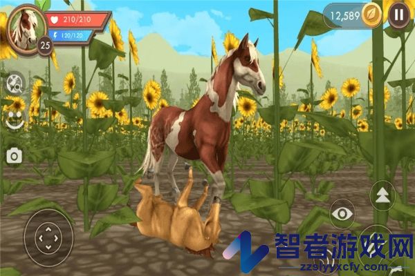 饿狼来了游戏