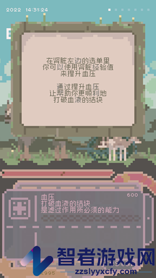 夕阳之夏游戏(renal summer)