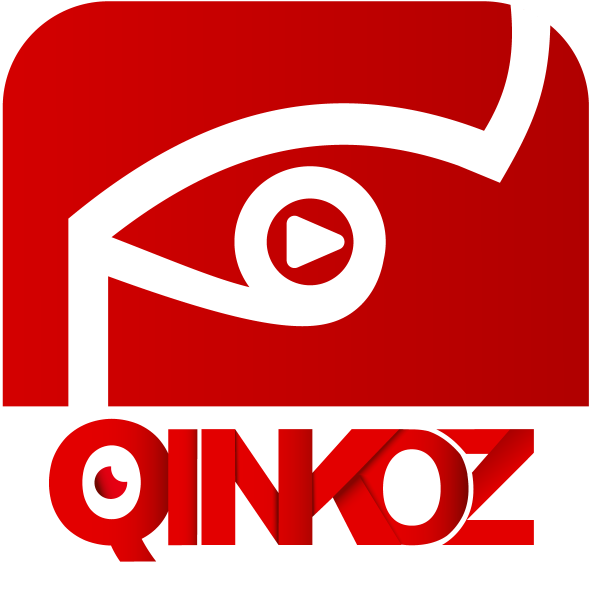 qinkoz软件安装