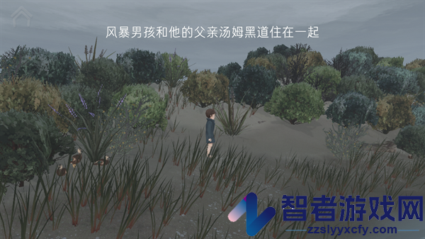 男孩与鹈鹕游戏