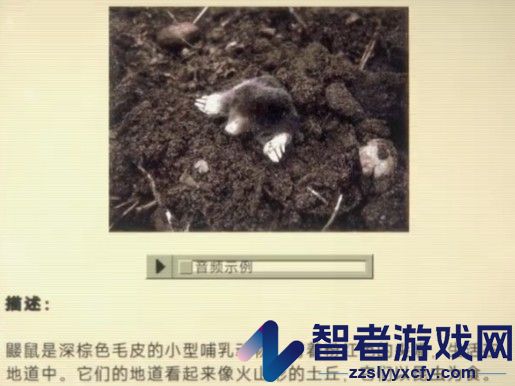 家庭安全热线1下载中文版安装