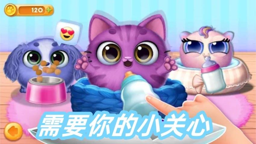 训宠达人