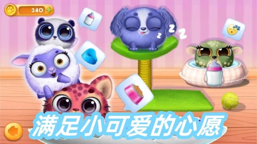 训宠达人