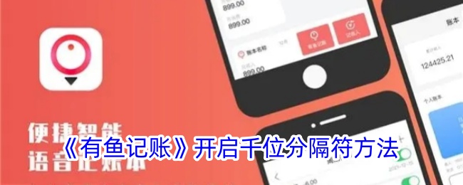 《有鱼记账：如何开启千位分隔符显示功能》