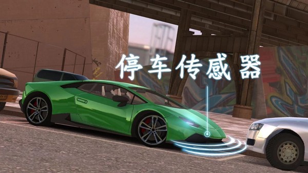 真实泊车