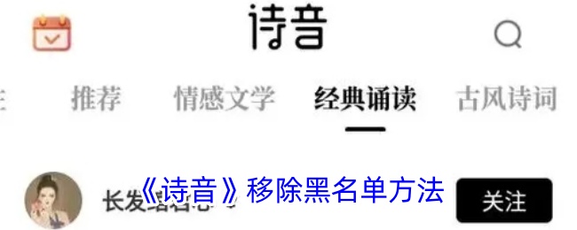 《诗音》黑名单移除指南:如何取消拉黑操作